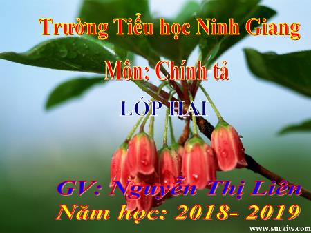 Bài giảng Chính tả Lớp 2 - Bài (Nghe-viết): Ngôi trường mới - Năm học 2018-2019 - Nguyễn Thị Liên