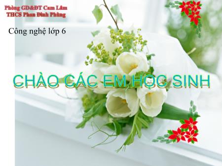 Bài giảng Công nghệ 6 - Bài 19+20: Thực hành Trộn giầu giấm rau xà lách trộn hỗn hợp nộm rau muống - Trường THCS Phan Đình Phùng