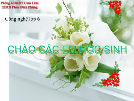 Bài giảng Công nghệ 6 - Bài: Các phương pháp chế biến thực phẩm - Trường THCS Phan Đình Phùng