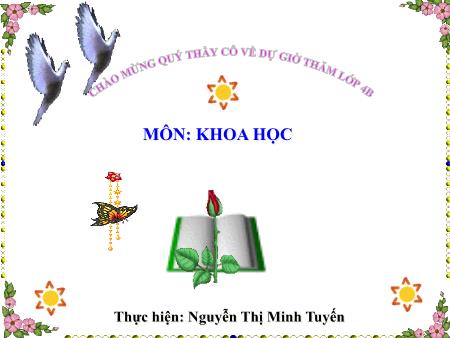 Bài giảng Khoa học Lớp 4 - Bài: Ăn uống khi bị bệnh - Năm học 2019-2020 - Nguyễn Thị Minh Tuyến