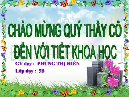 Bài giảng Khoa học Lớp 5 - Bài 15: Phòng bệnh viêm gan A - Năm học 2019-2020 - Phùng Thị Hiền