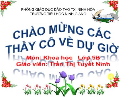 Bài giảng Khoa học Lớp 5 - Bài: Ôn tập Con người và sức khỏe (Tiếp theo) - Năm học 2018-2019 - Trần Thị Tuyết Ninh