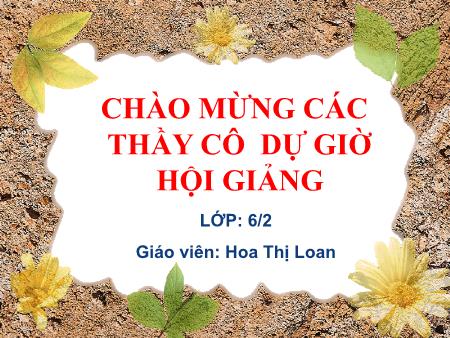 Bài giảng Ngữ văn Lớp 6 - Tiết 40: Văn bản Thầy bói xem voi - Hoa Thị Loan