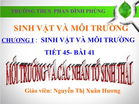 Bài giảng Sinh học 9 - Tiết 45, Bài 41: Môi trường và các nhân tố sinh thái - Nguyễn Thị Xuân Hương