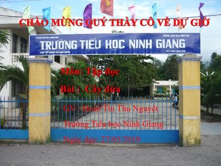 Bài giảng Tập đọc Lớp 2 - Bài: Cây dừa - Năm học 2018-2019 - Đoàn Thị Thu Nguyệt