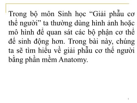 Bài giảng Tin học 8 - Bài: Làm quen với giải phẫu cơ thể người bằng phần mềm Anatomy