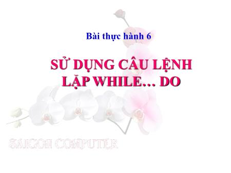 Bài giảng Tin học 8 - Bài thực hành 6: Sử dụng câu lệnh lặp while… do