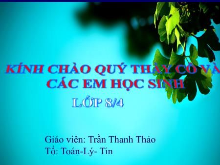 Bài giảng Tin học 8 - Tiết 19, Bài 5: Từ bài toán đến chương trình (Tiếp theo) - Trần Thanh Thảo