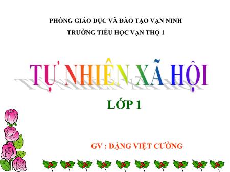 Bài giảng Tự nhiên và xã hội Lớp 1 - Bài 26: Con gà - Năm học 2017-2018 - Đặng Việt Cường