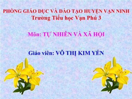 Bài giảng Tự nhiên và xã hội Lớp 2 - Bài 31: Mặt trời - Năm học 2017-2018 - Võ Thị Kim Yến