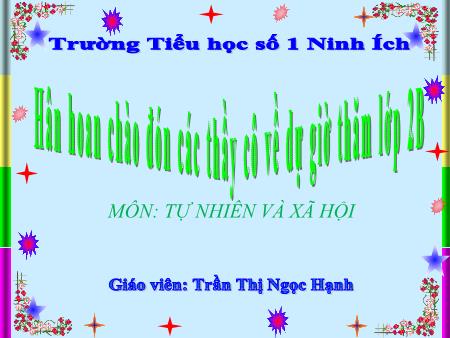 Bài giảng Tự nhiên và xã hội Lớp 2 - Bài 8: Ăn, uống sạch sẽ - Năm học 2019-2020 - Trần Thị Ngọc Hạnh