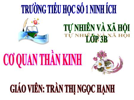 Bài giảng Tự nhiên và xã hội Lớp 2 - Tiết 12, Bài 12: Cơ quan thần kinh - Năm học 2019-2020 - Trần Thị Ngọc Hạnh
