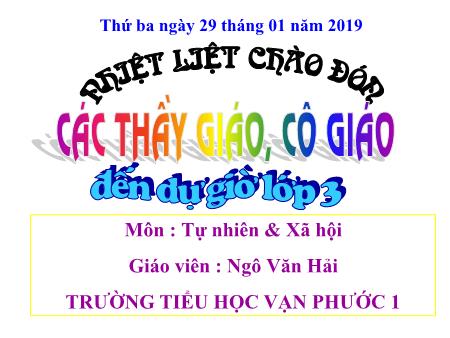 Bài giảng Tự nhiên và xã hội Lớp 3 - Tiết 43, Bài: Rễ cây - Năm học 2018-2019 - Ngô Văn Hải
