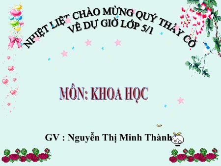 Bài giảng Khoa học Lớp 5 - Bài: Phòng bệnh sốt xuất huyết - Năm học 2017-2018 - Nguyễn Thị Minh Thành