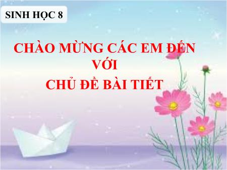 Bài giảng Sinh học 8 - Chủ đề: Bài tiết