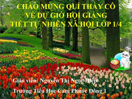 Bài giảng Tự nhiên và xã hội Lớp 1 - Bài 8: Ăn, uống hằng ngày - Năm học 2017-2018 - Nguyễn Thị Ngọc Hiệp Bài giảng Tự nhiên và xã hội Lớp 1 - Bài 8: Ăn, uống hằng ngày - Năm học 2017-2018 - Nguyễn Thị Ngọc Hiệp