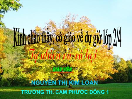 Bài giảng Tự nhiên và xã hội Lớp 2 - Bài: Ăn, uống sạch sẽ - Năm học 2016-2017 - Nguyễn Thị Kim Loan